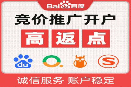 搜索引擎营销（SEM）的精准投放技巧案例